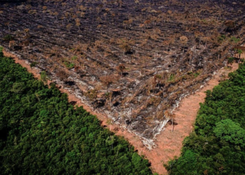 Em 2 anos, BNDES nega R$ 120,5 milhões em crédito para produtores de MT | RDNEWS