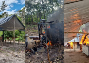 PF destrói escavadeiras e apreende maquinários em garimpo ilegal de ouro | RDNEWS