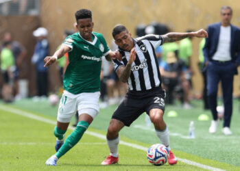 Palmeiras vence Botafogo e avança às quartas de final da Copa do Mundo | RDNEWS
