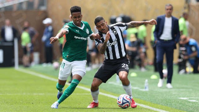 Palmeiras vence Botafogo e avança às quartas de final da