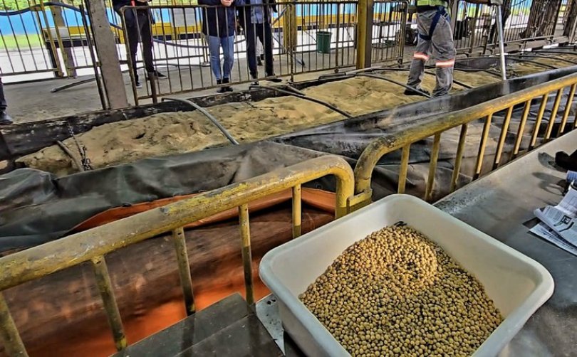 PF apreende soja de MT com areia e serragem em