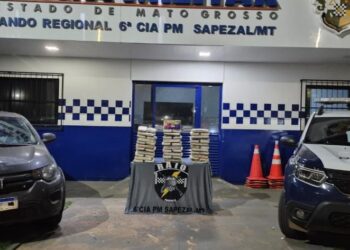 Ação integrada apreende 69 tabletes de supermaconha e causa prejuízo de R$ 700 mil às facções criminosas