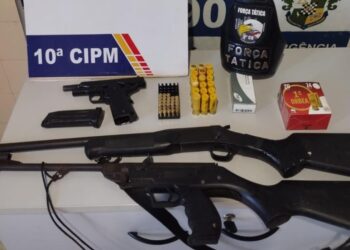 Força Tática apreende armas e munições em propriedade rural em Aripuanã