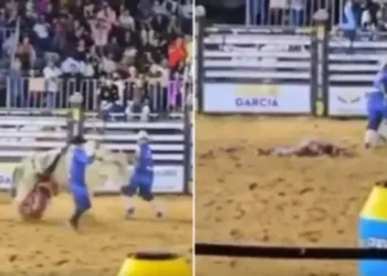 Peão morre após ser pisoteado por touro em rodeio em Mato Grosso