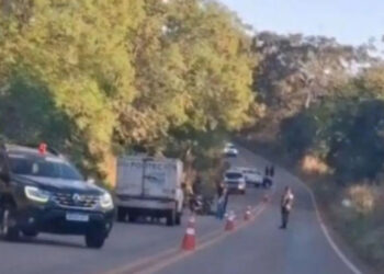Motociclista morre após atropelar capivara que atravessava a MT-175 | RDNEWS