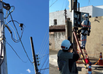 Serralherias são flagradas com gatos na energia; dono de uma delas é preso | RDNEWS