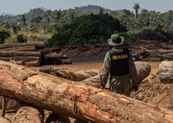Especialistas afirmam que “PL da Devastação” ignora indígenas e ameaça o próprio agronegócio; entenda | RDNEWS