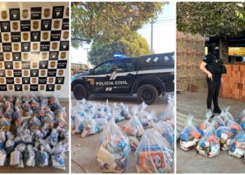 PC desmantela ‘depsito’ de cestas bsicas do CV em MT | FOLHAMAX