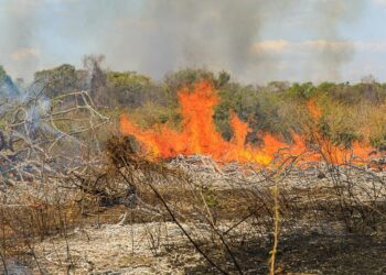 Polícia Militar prende homem por provocar incêndio em zona rural de Vila Rica