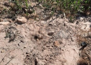 Operários de rodovia encontram corpo amarrado com corda