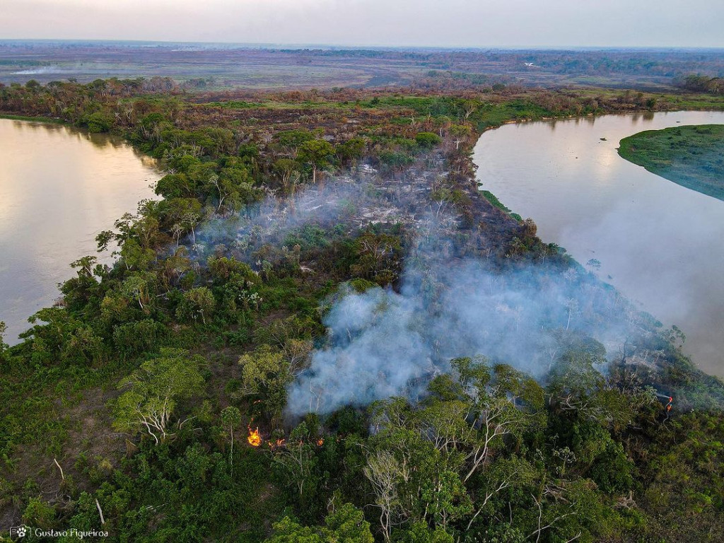 incendio pantanal 