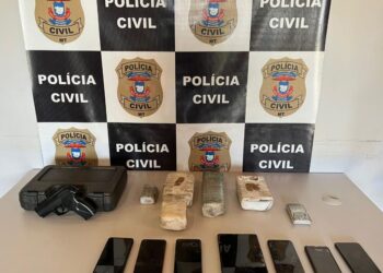 Polícia Civil prende líder de facção, apreende drogas e fecha rinha de galo em Campos de Júlio