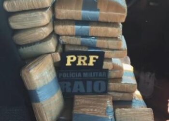 Ação integrada da PM e PRF apreende 30 quilos de entorpecentes em Pedra Preta