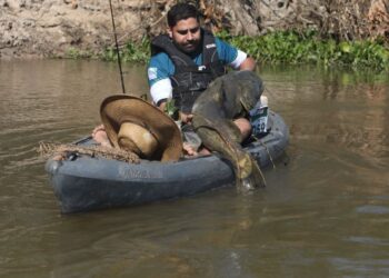 FIPe espera público de 150 mil com atrações regionais e nacionais