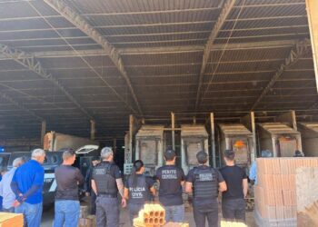 Polícia Civil incinera 150 quilos de drogas apreendidas em Lucas do Rio Verde
