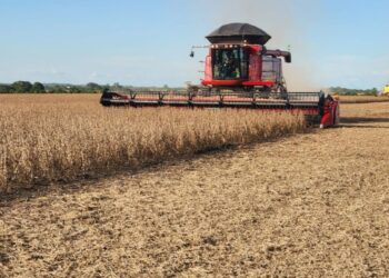 Justiça Federal suspende decisão do Cade contra Moratória da Soja