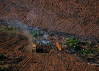 Clima fora de controle ameaça futuro de Mato Grosso, alerta pesquisadora | RDNEWS