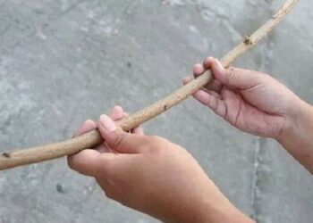 Me d surra na filha por ‘mentiras e mau comportamento’ e acaba presa | FOLHAMAX