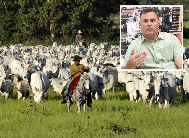 Após Lei do Pantanal, produtor vê êxodo da pecuária no