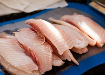 Exportações de peixes crescem 52% e fortalecem a piscicultura brasileira no primeiro semestre de 2025