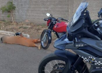Motopatrulhamento tático Raio prende suspeito por desobediência e direção perigosa sem habilitação e resistência