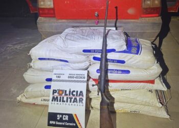 Polícia militar recupera carga Furtada na zona rural de General Carneiro