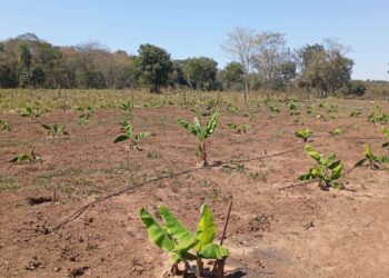 Produtores rurais de Várzea Grande devem entregar declaração de ITR