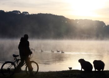 Paraná amanhece com temperaturas negativas neste sábado (9) e deve ter geadas e frio mais intenso nos próximos dias; veja previsão