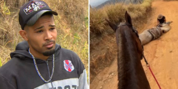 Cavalo percorreu 14 km de muitas subidas antes de cair e ter as patas cortadas, diz delegado