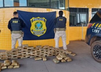 PRF apreende 80 quilos de supermaconha dentro de caminho em MT | FOLHAMAX