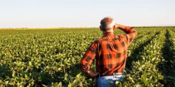 Justia aprova recuperao de ‘gigante do transportes’ em MT; dvida R$ 78 milhes | FOLHAMAX