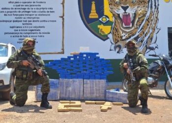 Forças de segurança apreendem mais de 200 kg de cocaína