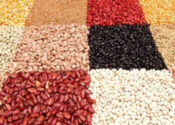 Feijão carioca mantém firmeza enquanto feijão preto sofre pressão de estoques elevados