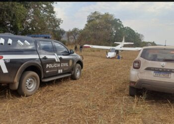 Ação integrada localiza grande quantidade de drogas em fazenda da região.