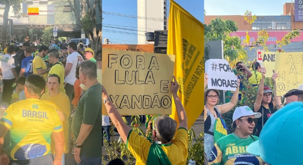 Reaja Brasil, 7 de setembro, manifestantes