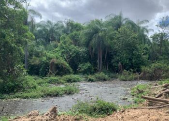 Moradores denunciam frigorífico por causar poluição no rio Salgadinho