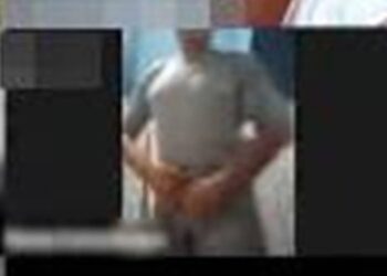 Homem mostra pnis em audincia virtual do TRT | FOLHAMAX