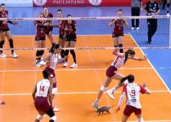 Gamb invade quadra na semifinal de campeonato de vlei; assista | FOLHAMAX