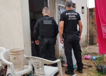 Grupo que movimentou R$ 120 mi com golpes na venda de milho é alvo de operação da PJC | RDNEWS