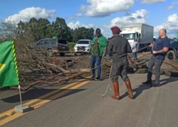 Justia arquiva investigaes contra fanticos por Bolsonaro em MT | FOLHAMAX