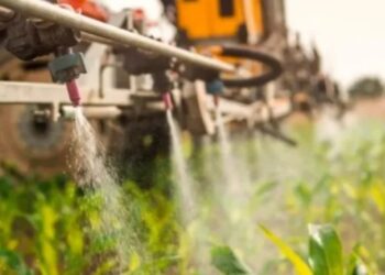 Ministrio Pblico identifica participao do PCC em mercado ilegal de agrotxicos | FOLHAMAX