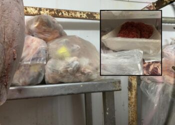 Operao flagra carne no cho e fecha ‘aougue do lixo’ em Cuiab | FOLHAMAX