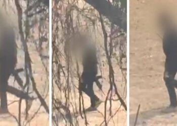 Policial civil que atirou em trabalhadores de obra na Grande BH é preso