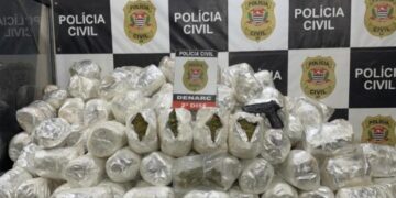 Mais de 130 kg de supermaconha são apreendidos em ação policial | FOLHAMAX