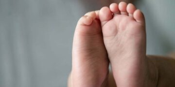 PC investiga caso de beb retirado vivo do prprio velrio | FOLHAMAX