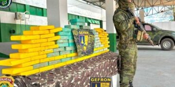 Policiais apreendem drogas e geram prejuízo de R$ 2,3 mi