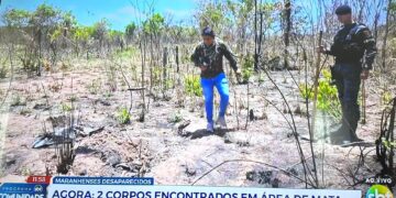 duas covas revelam possível cemitério clandestino de maranhenses desaparecidos