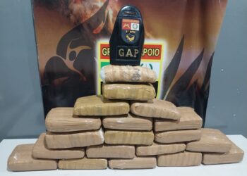 Polícia Militar apreende 19 tabletes de maconha escondidos sob folhas de bananeira em Cuiabá