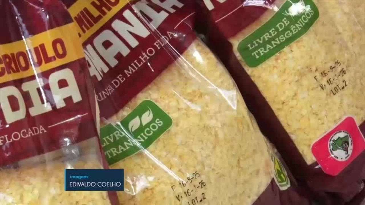 Conheça o cuscuz de milho crioulo de Caruaru que não tem transgênicos