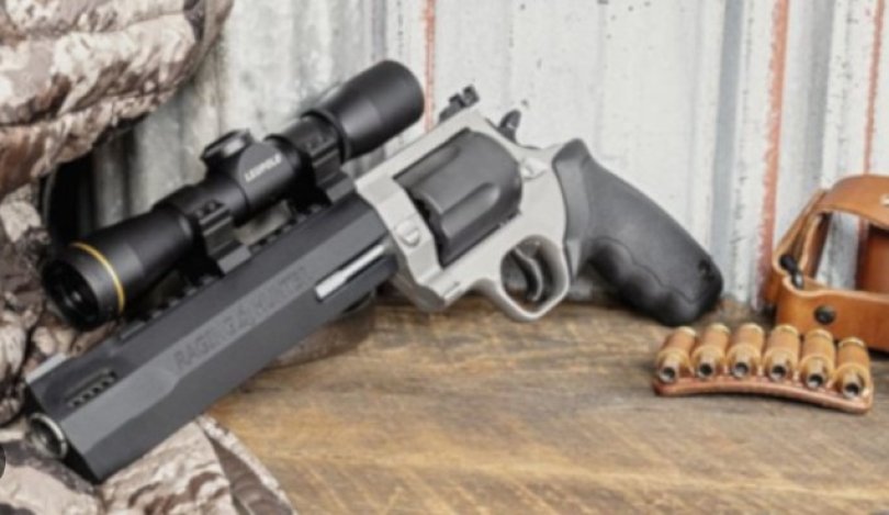 CAC atingido na coxa por tiro acidental de revlver durante caada em MT | FOLHAMAX